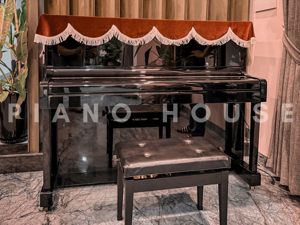 KAWAI DS-55 (Limited Edition)